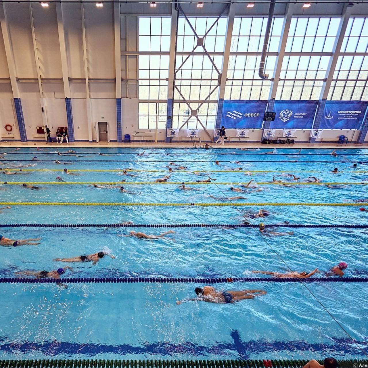 Отзывы. Фотограф Воронеж Александр Нечаев