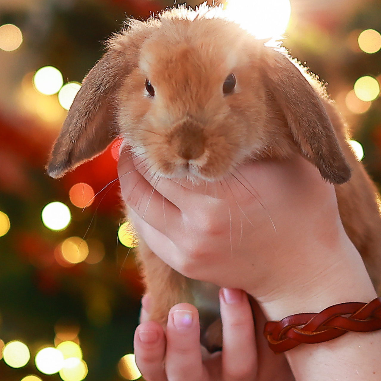 Отзывы. Спортивный и семейный фотограф в Екатеринбурге Ольга Горбунова меня