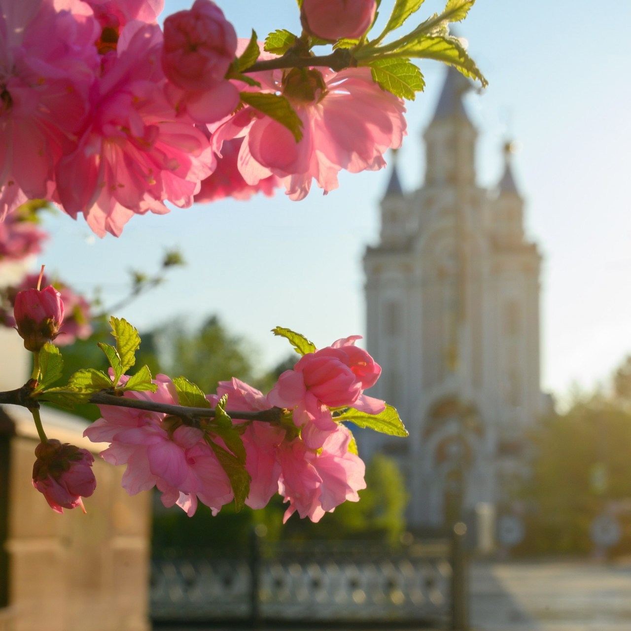 Отзывы. Фотограф г. Хабаровск
