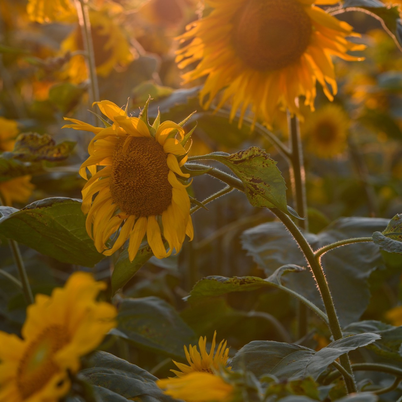 Отзывы. Фотограф г. Хабаровск
