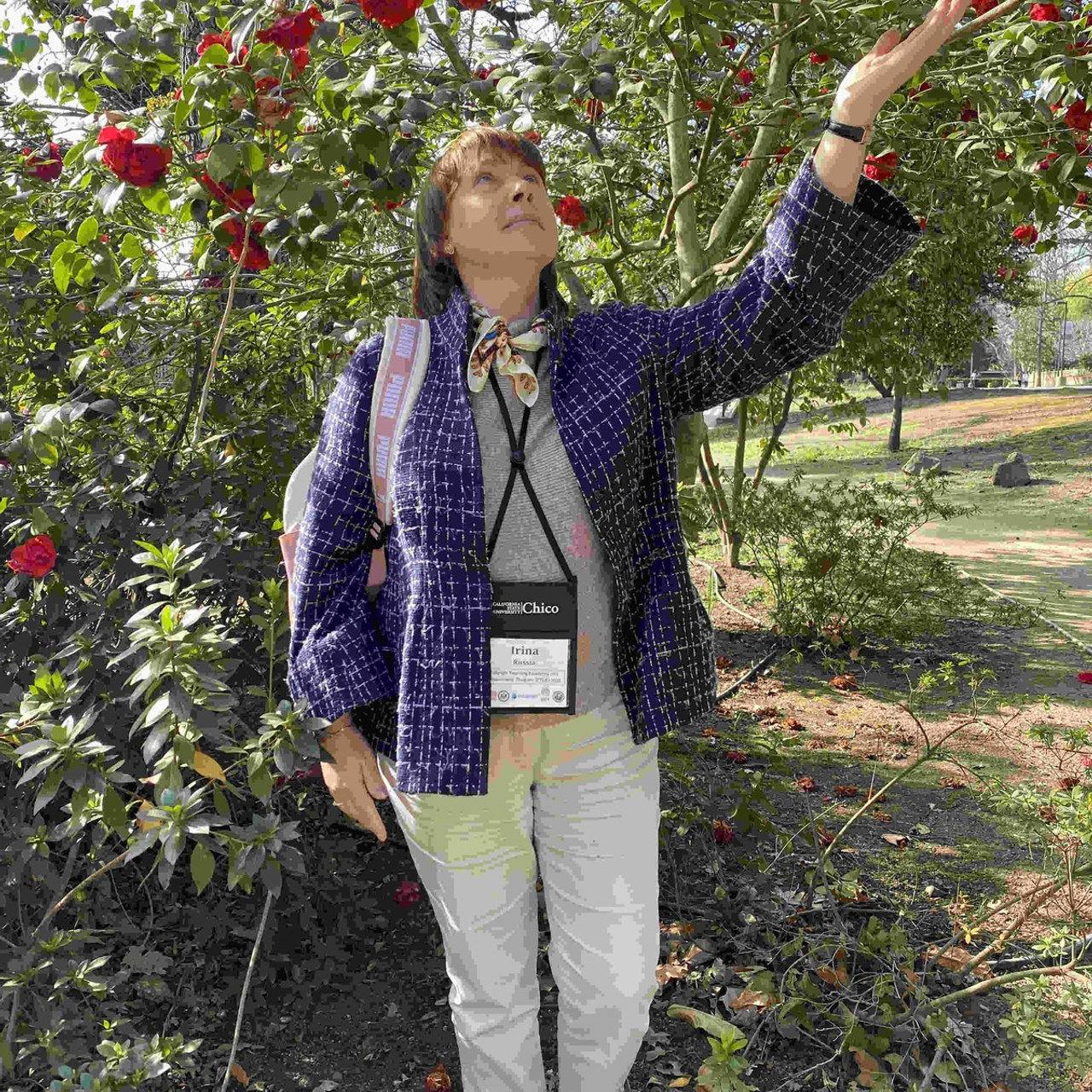 California State University, Chico