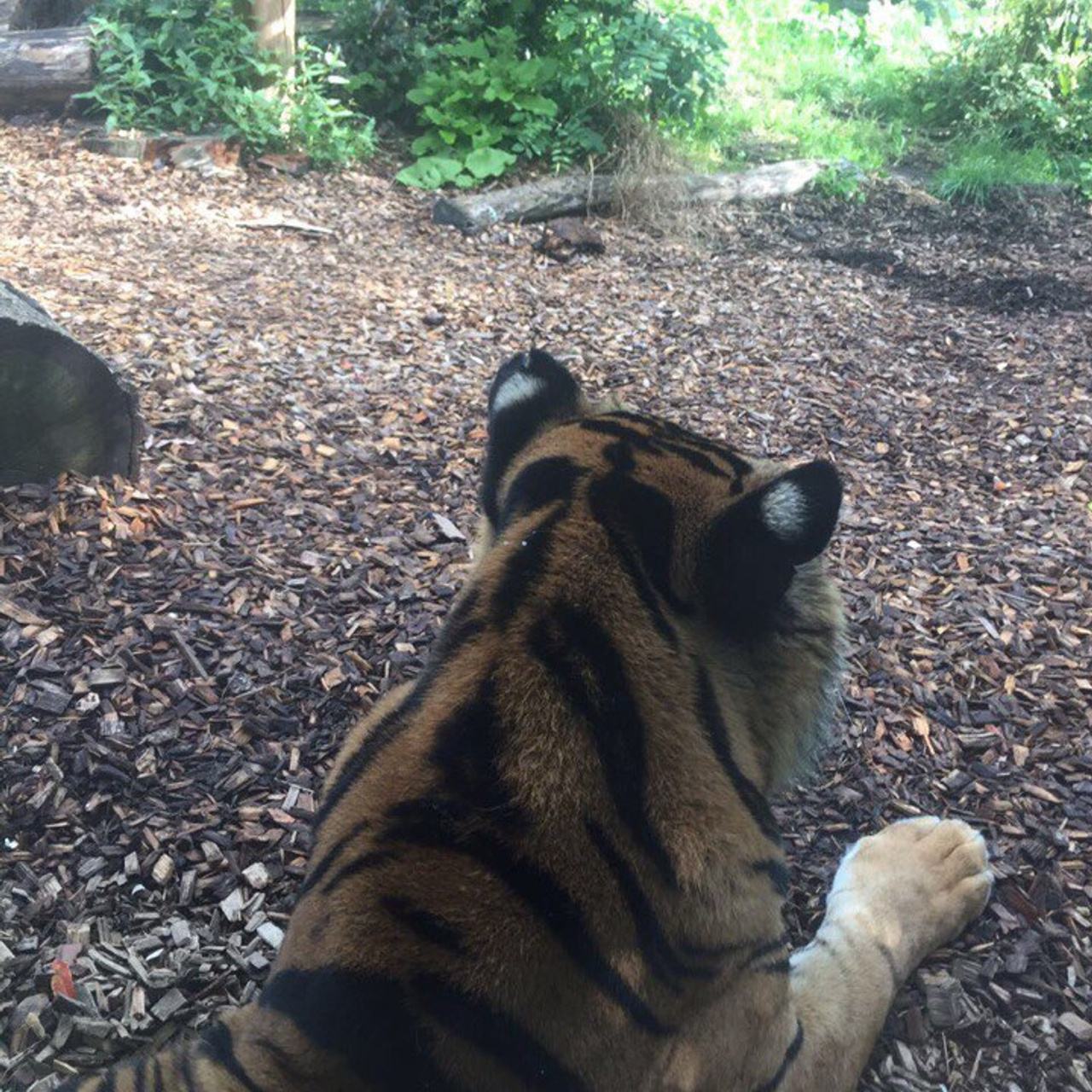 Поездка в Великобританию 2017