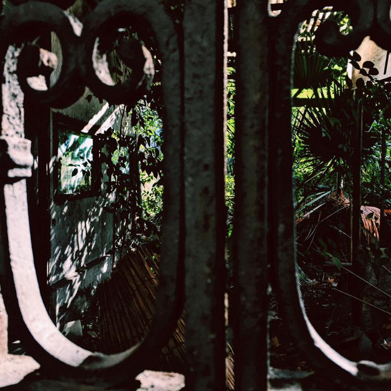 Photographer, Masha Berliner