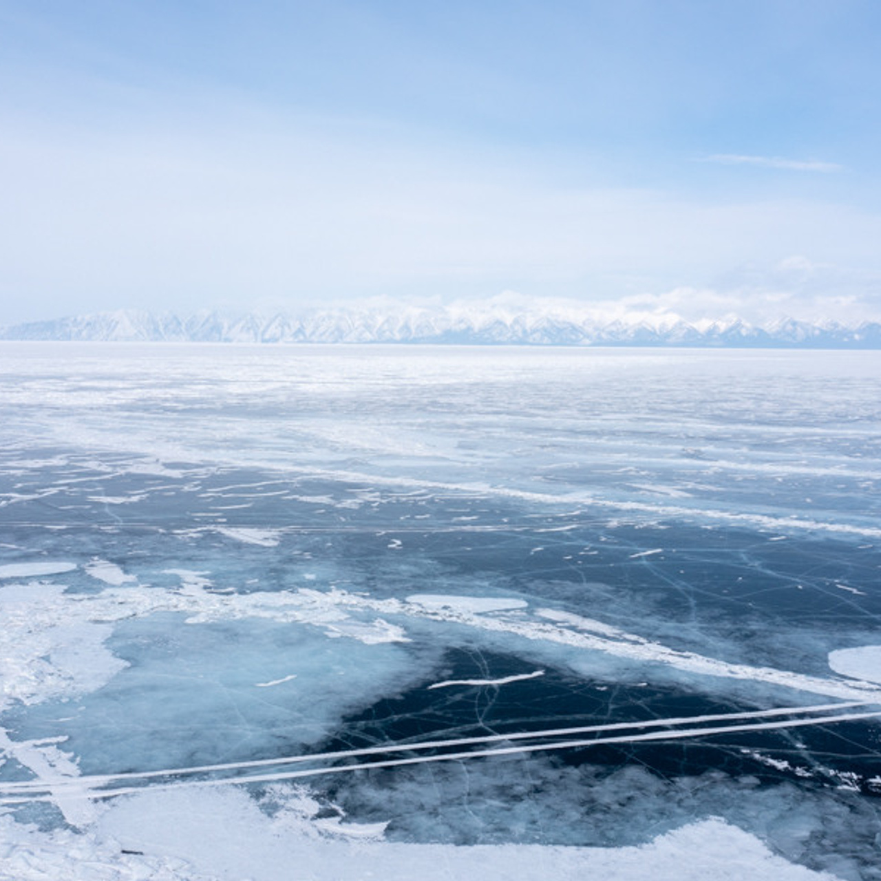 Photographer, Masha Berliner