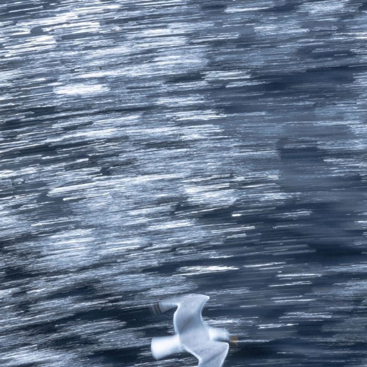 Photographer, Masha Berliner