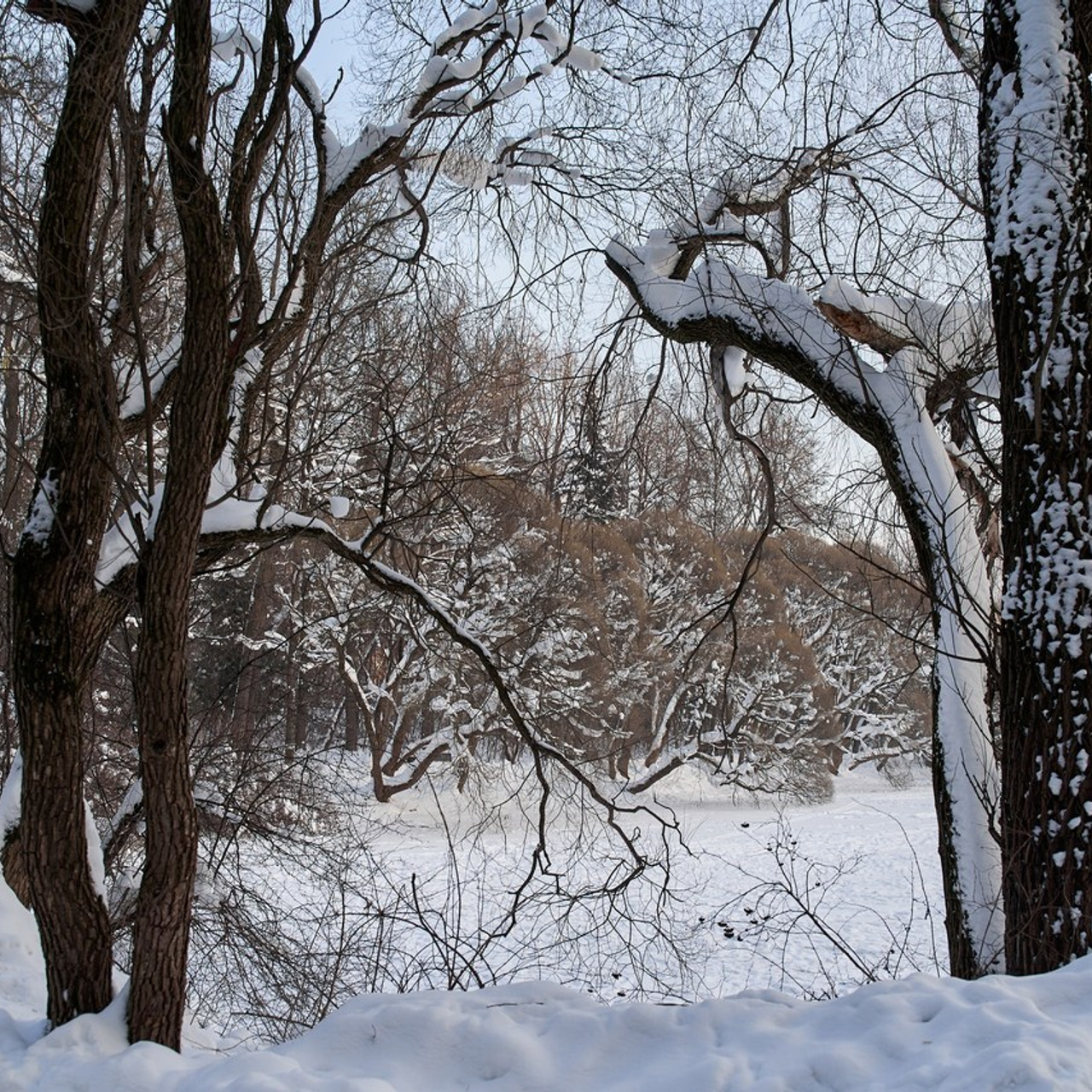 Отзывы невест о работе свадебного фотографа Сергея Гавароса. Свадебный фотограф в Москве Сергей Гаварос