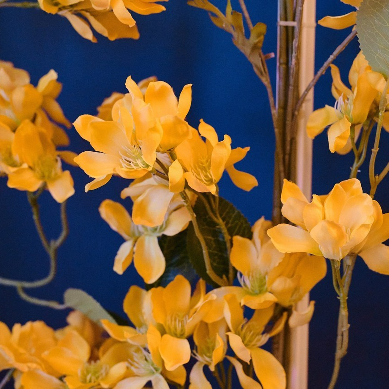 Отзывы. Свадебный и семейный фотограф в Нижнем Новгороде и в городе Городец, Б