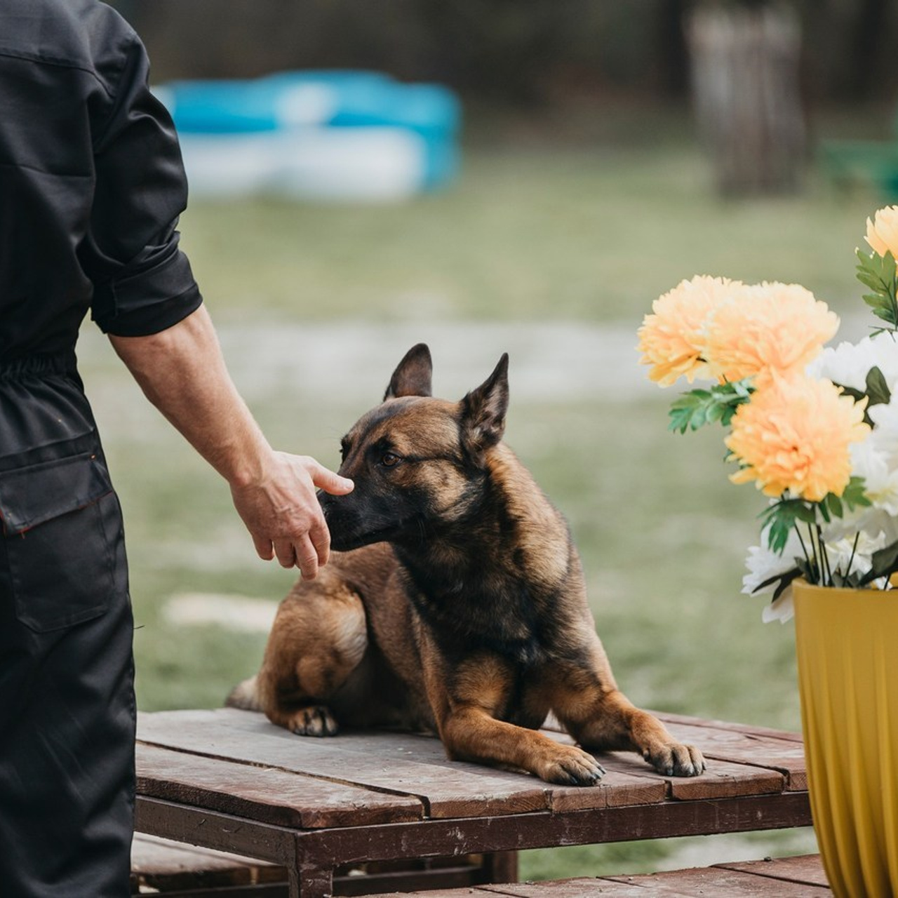 Отзывы. Фотограф-анималист Анна Маринич