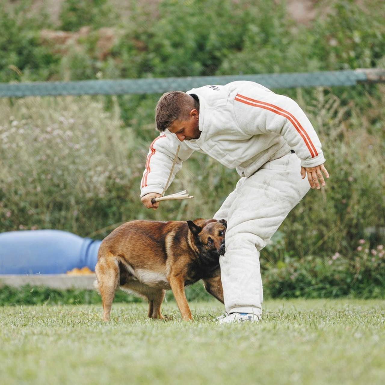 Отзывы. Фотограф-анималист Анна Маринич