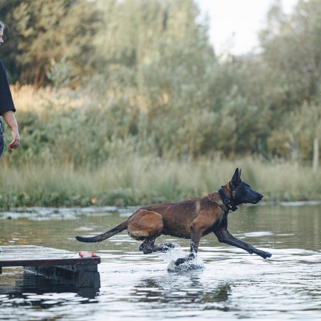 Отзывы. Фотограф-анималист Анна Маринич