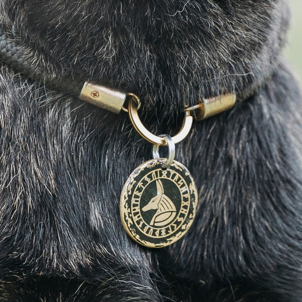 Отзывы. Фотограф-анималист Анна Маринич