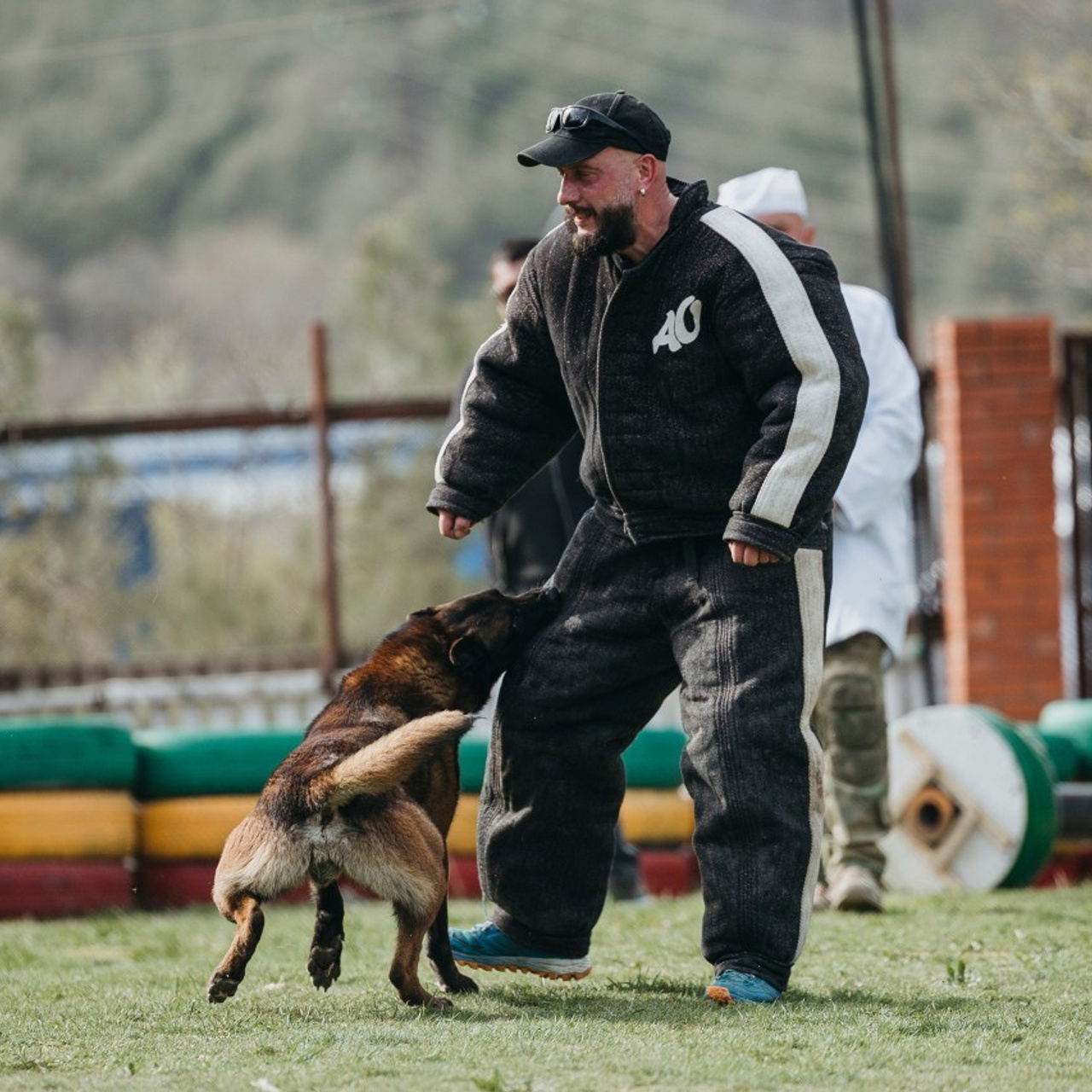 Отзывы. Фотограф-анималист Анна Маринич