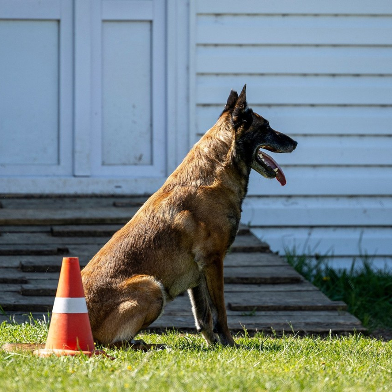 Отзывы. Фотограф-анималист Анна Маринич