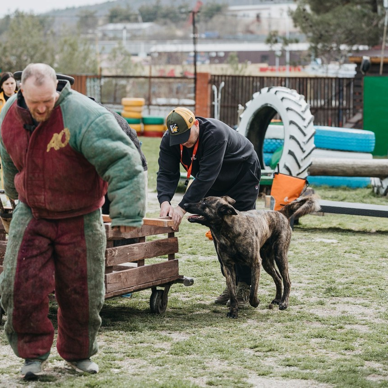 Отзывы. Фотограф-анималист Анна Маринич