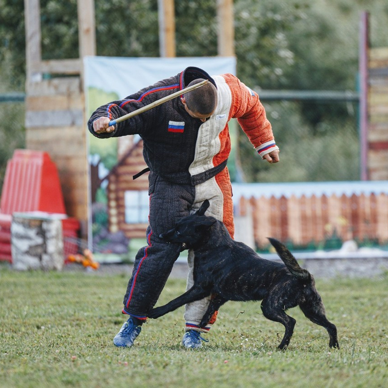 Отзывы. Фотограф-анималист Анна Маринич