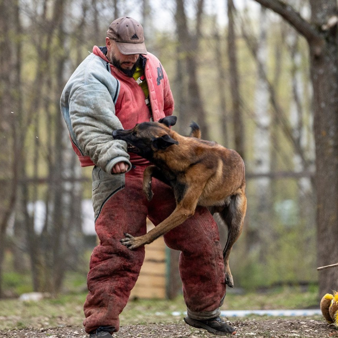Отзывы. Фотограф-анималист Анна Маринич