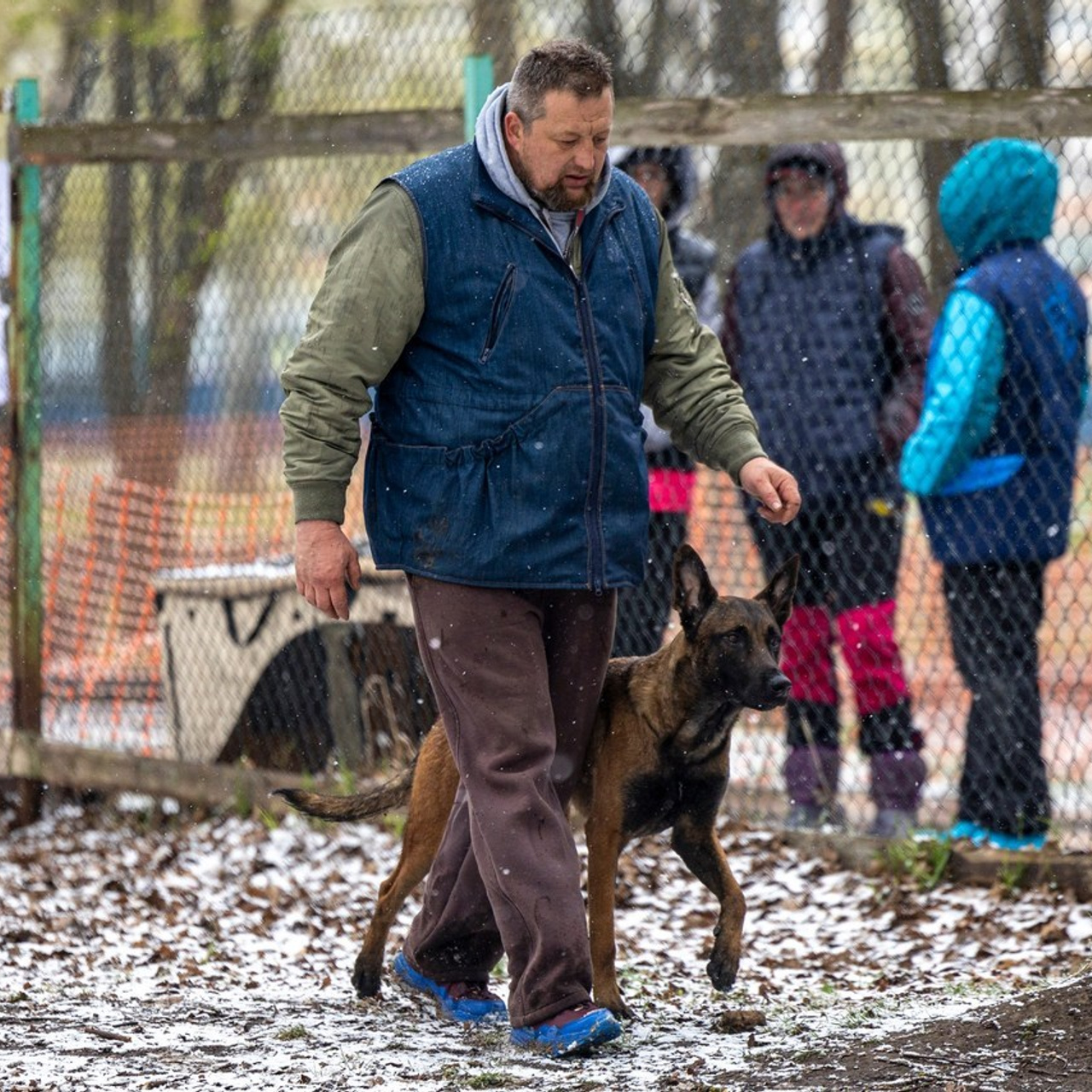 Отзывы. Фотограф-анималист Анна Маринич