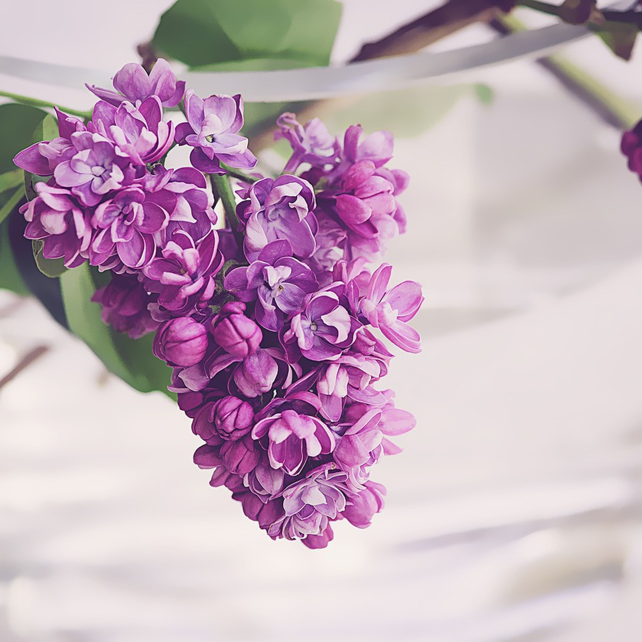 Отзывы. Фотограф новорожденных в Ульяновске Татьяна Соболева