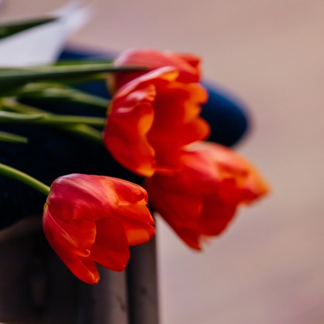 Отзывы. Фотограф в Красноярске Оксана Корчагина