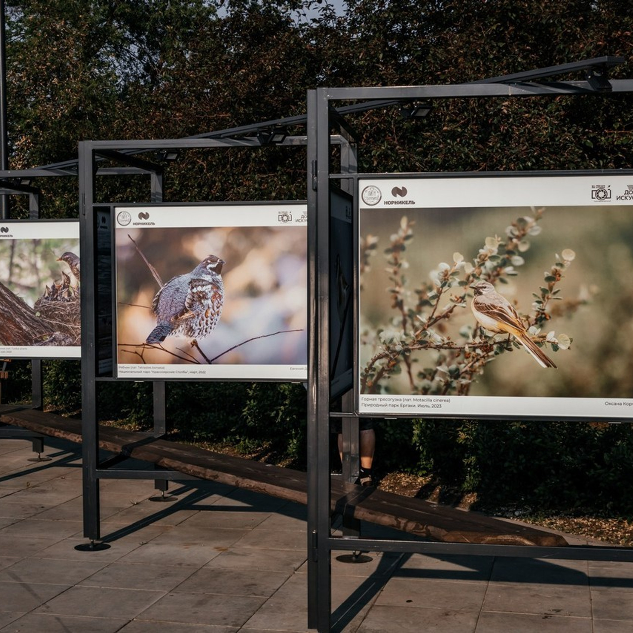 Отзывы. Фотограф в Красноярске Оксана Корчагина