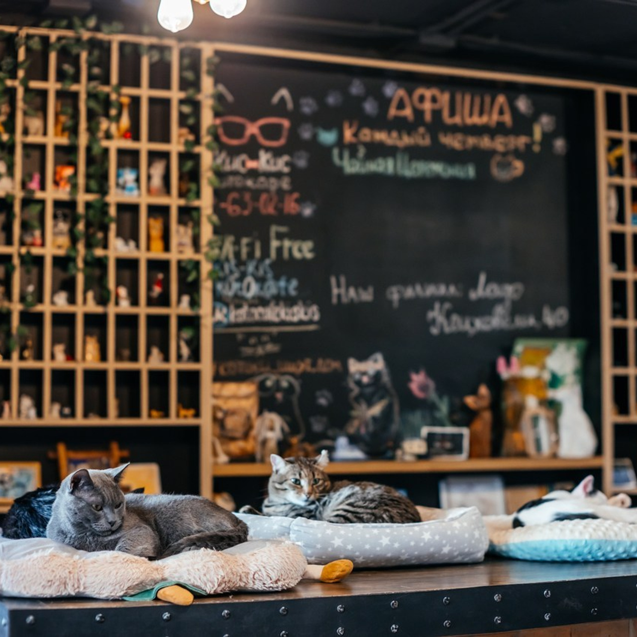 Отзывы. Фотограф в Красноярске Оксана Корчагина