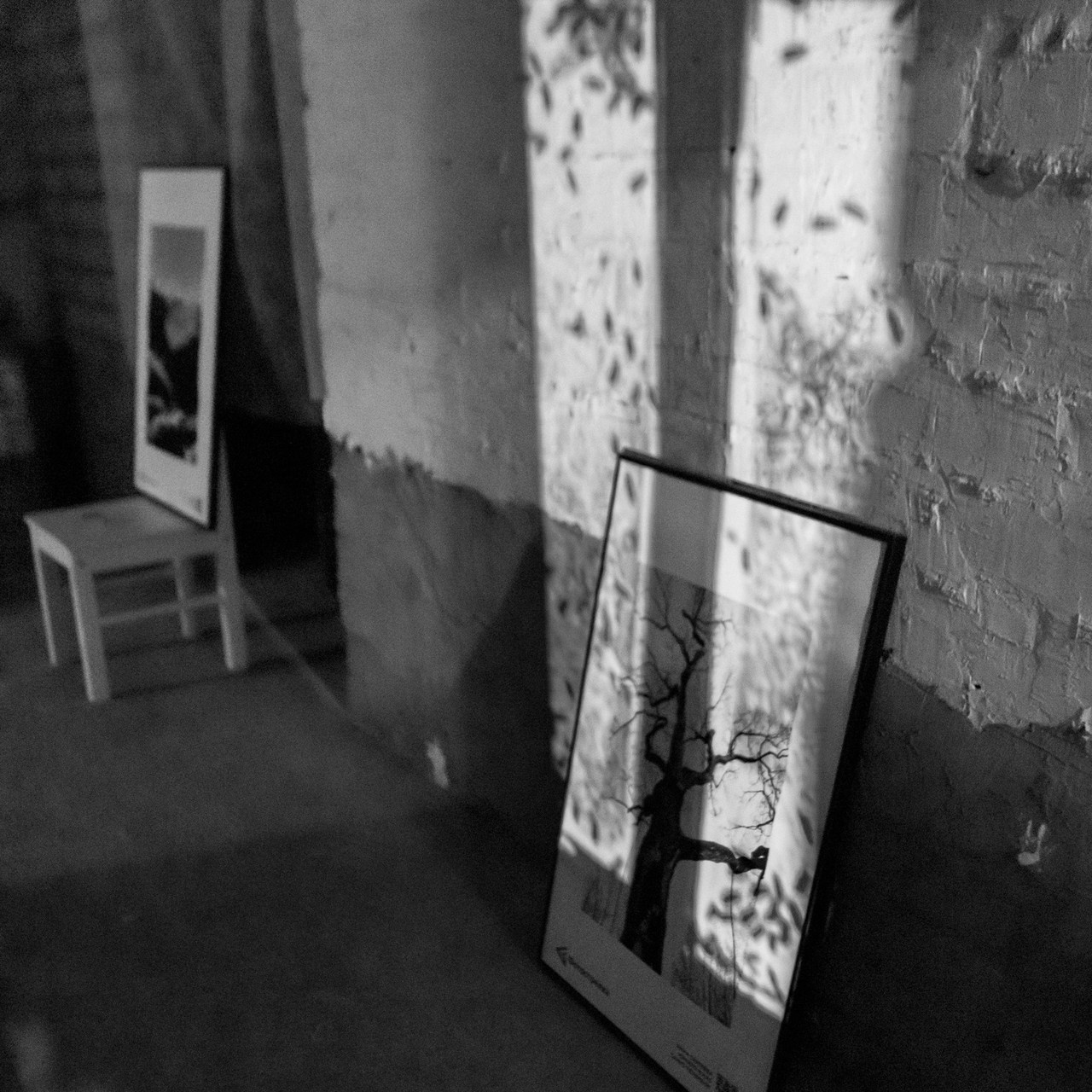 Отзывы. Фотограф в Красноярске Оксана Корчагина