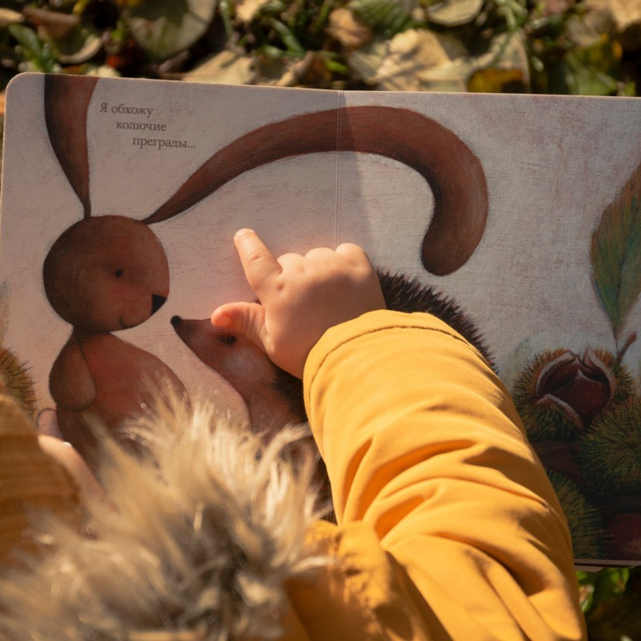 Отзывы. Фотосессии по мотивам сказок и фильмов — Катерина Исауленко. СПб