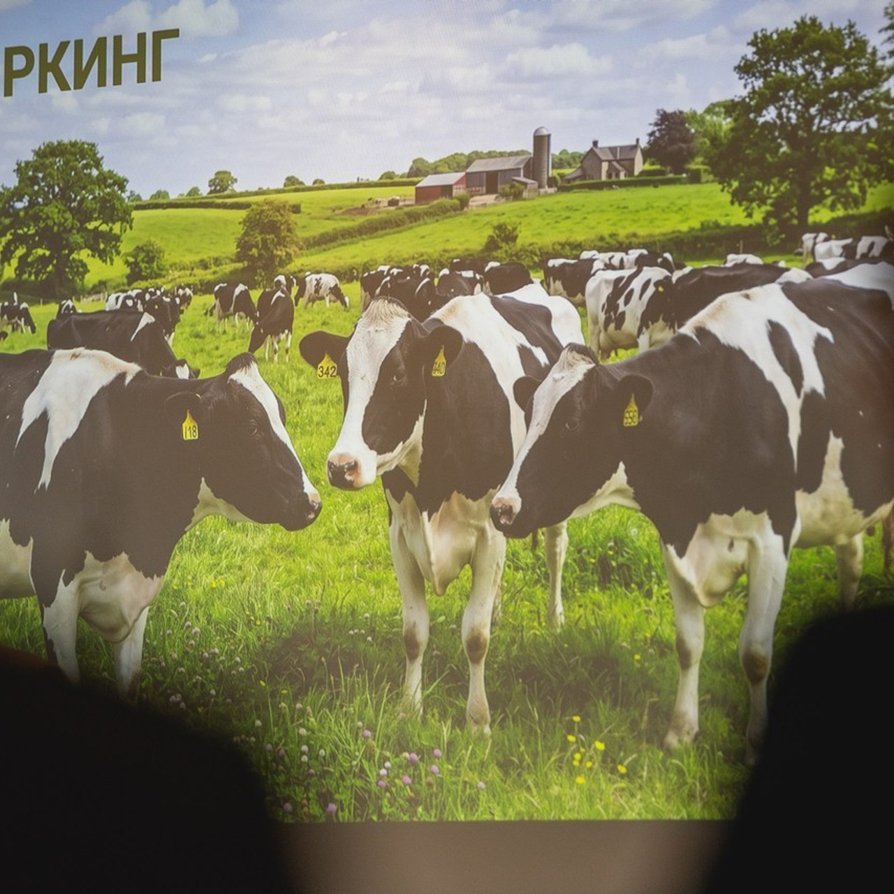 Отзывы. Фотограф Антон Волков  г. Дмитров