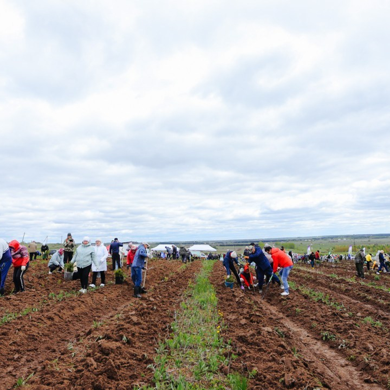 Отзывы. Фотограф в Набережных Челнах Дмитрий Колесников