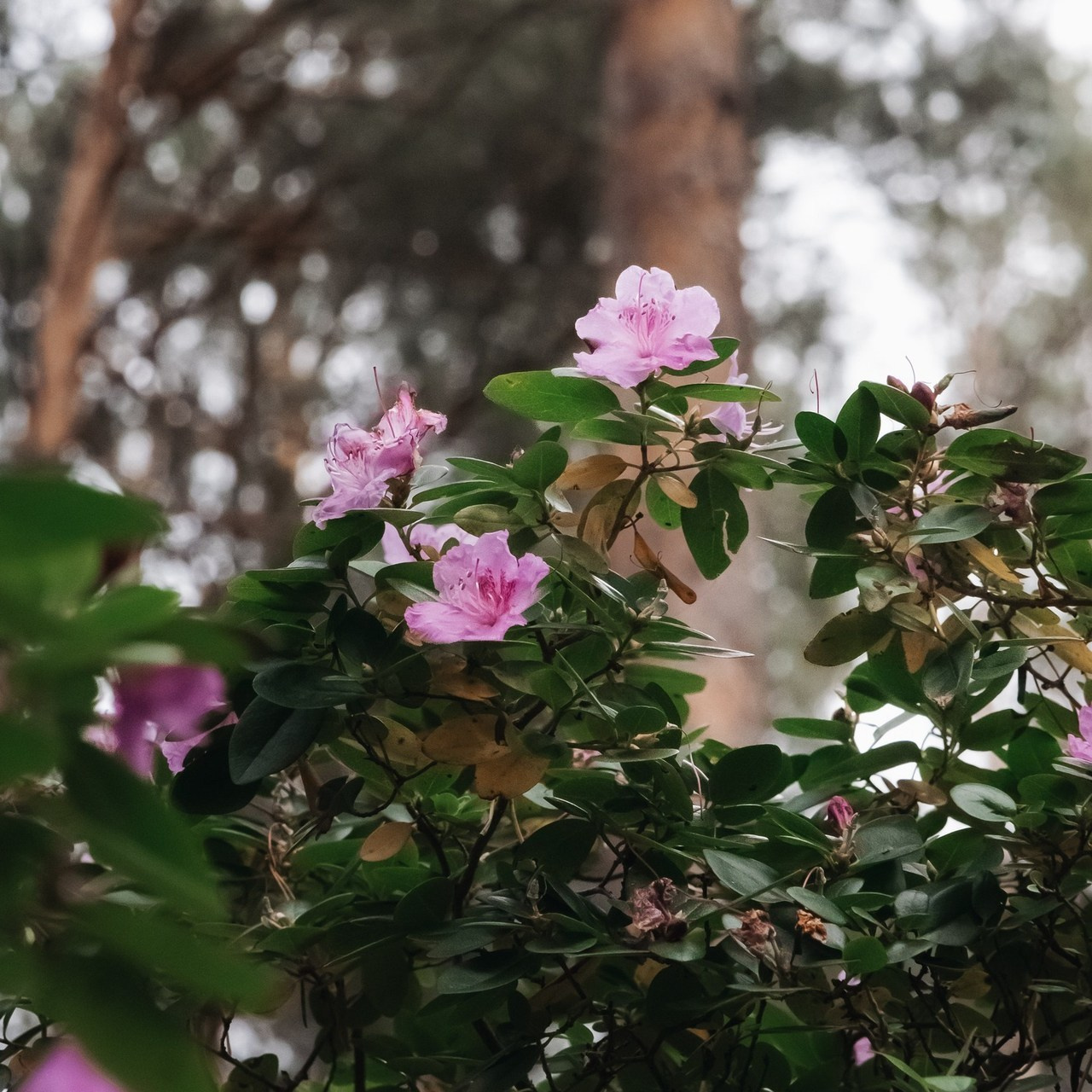 Отзывы. Фотограф. Алтай