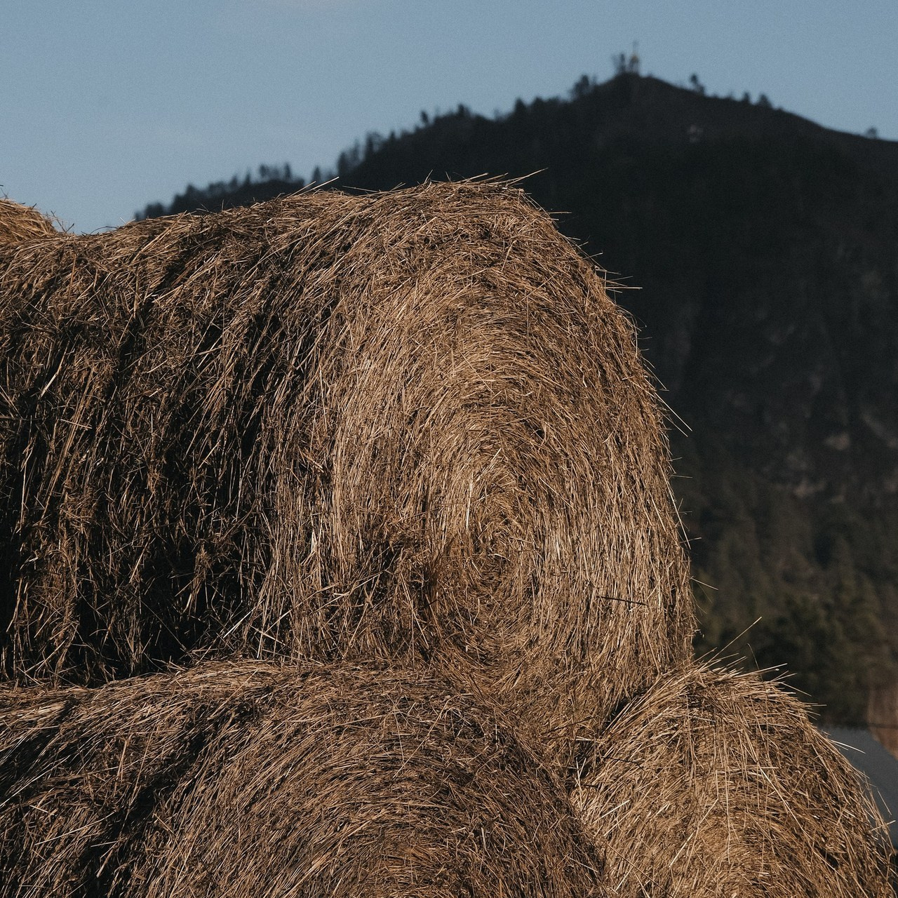 Фотограф. Алтай