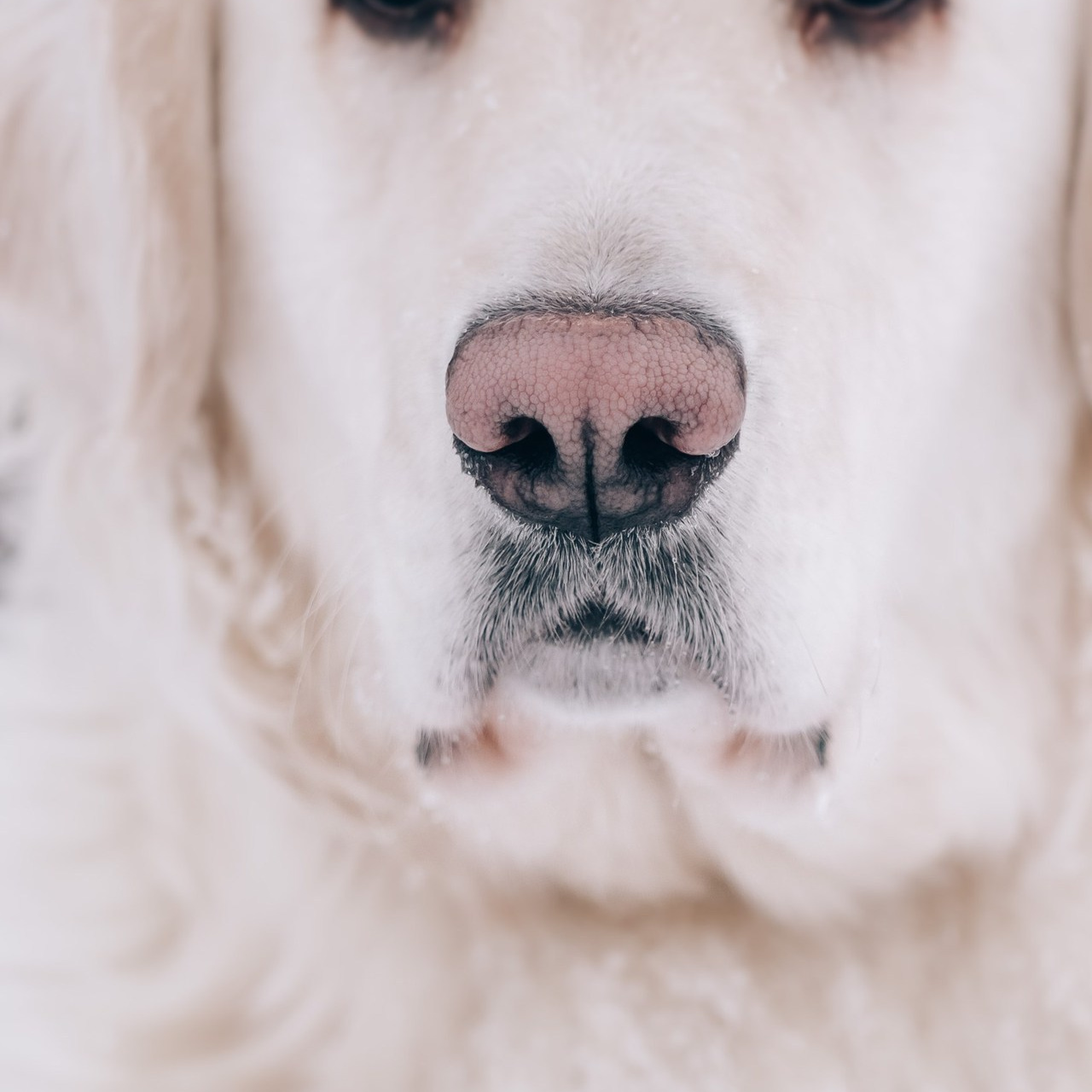 Отзывы. Наталия Фролова. Фотограф. Москва