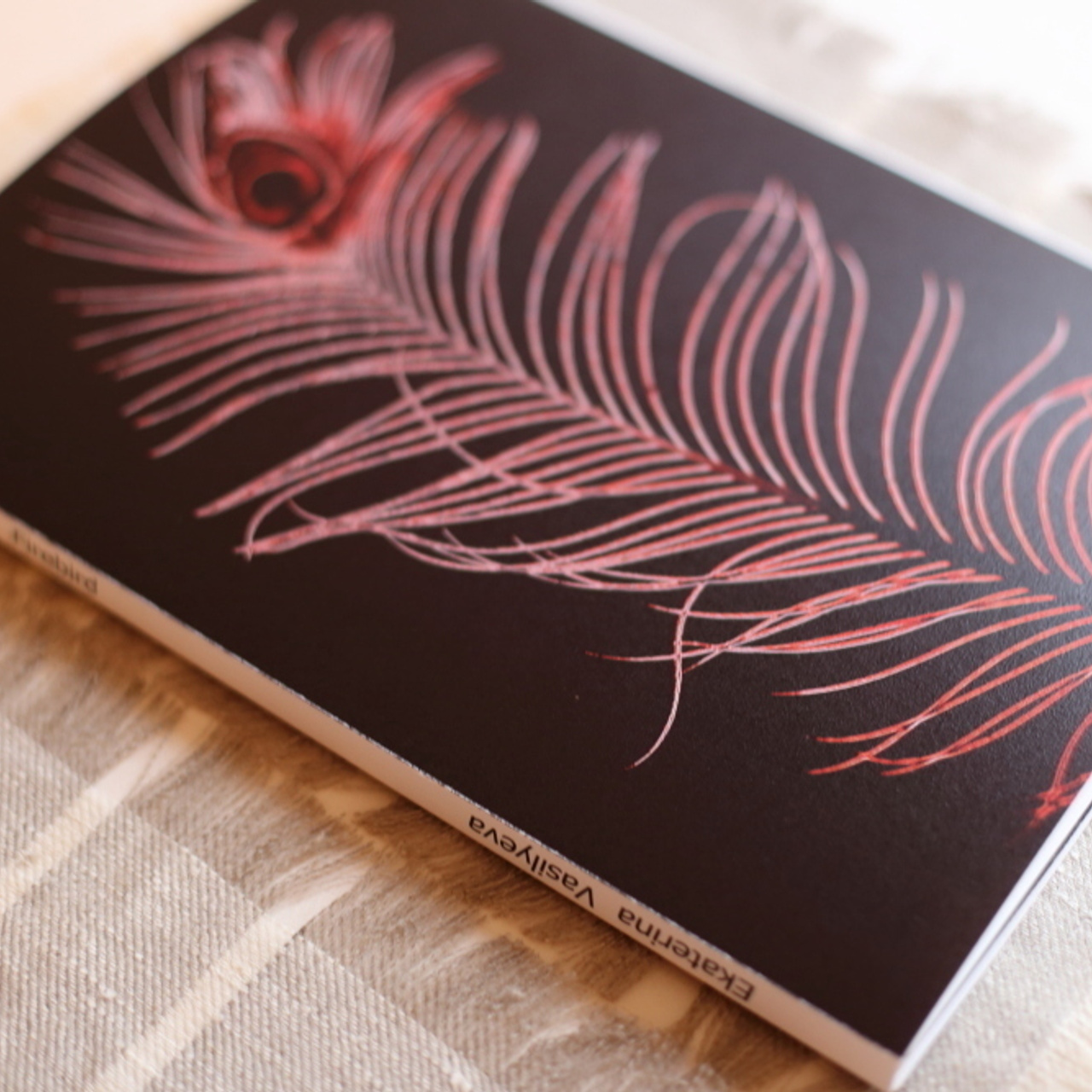 After the Firebird (2017)