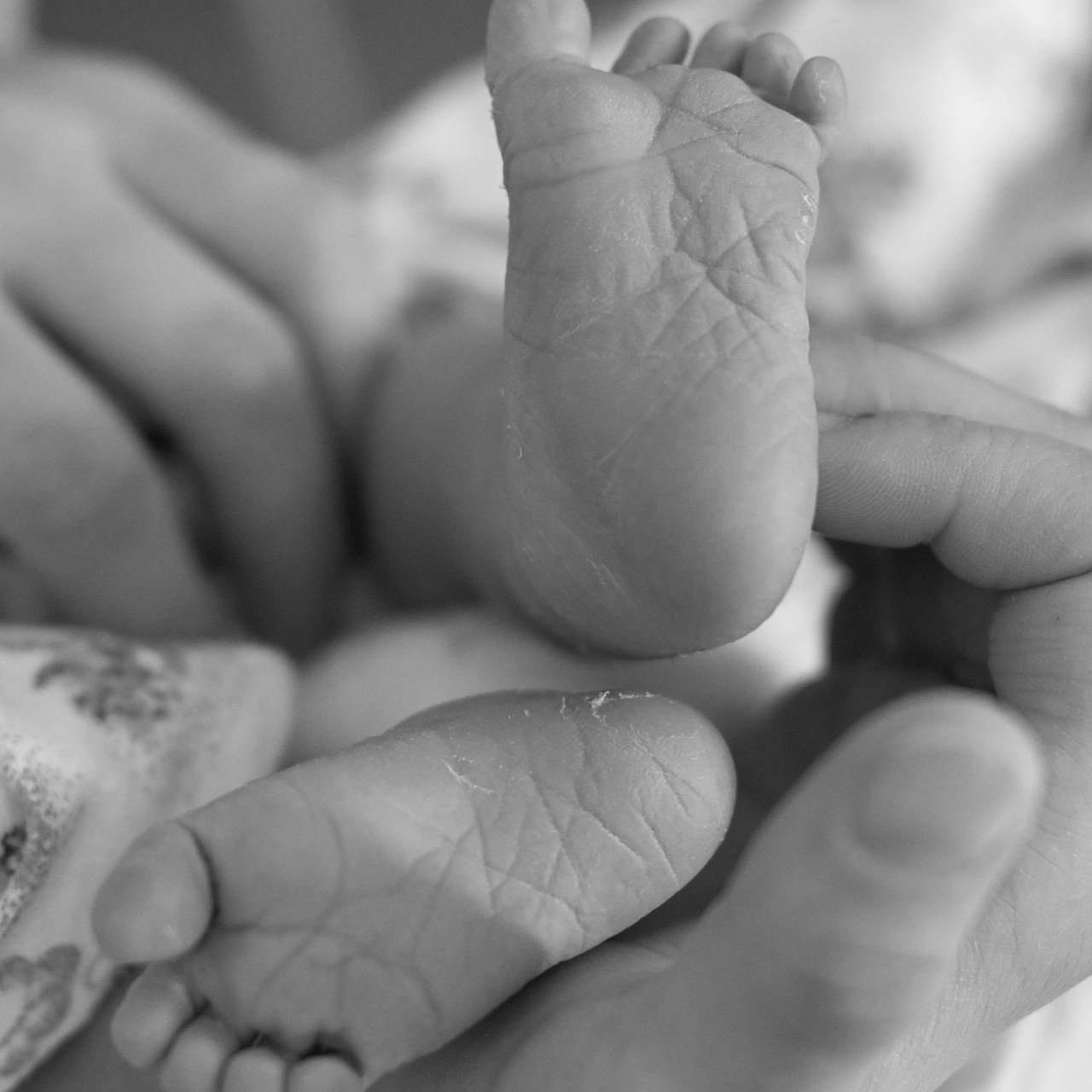 Отзывы. Фотограф дмитров фотограф новорожденных дмитров фотограф москва фотог