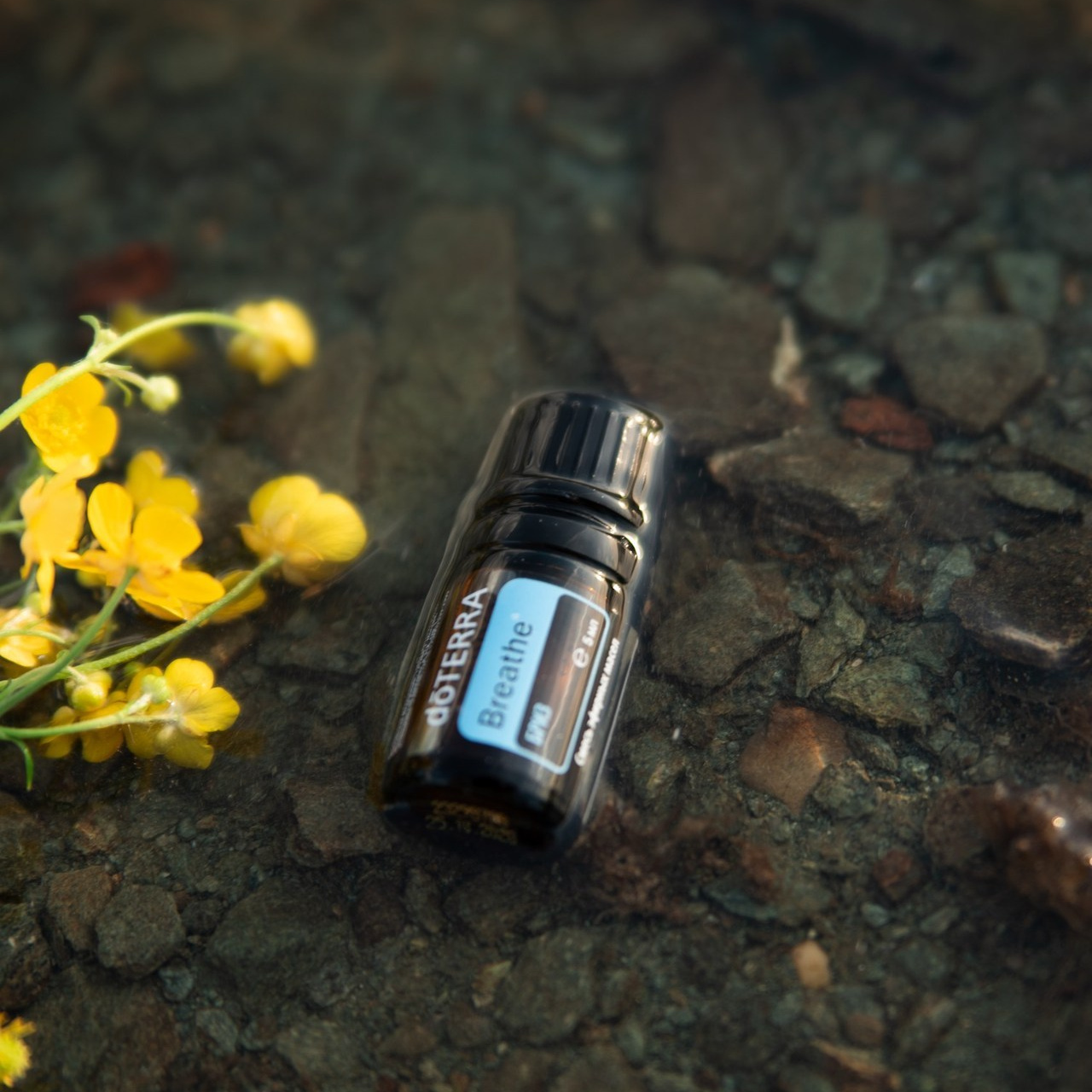 Отзывы. Фотограф в В Полевском и Екатеринбурге Ольга Расуп