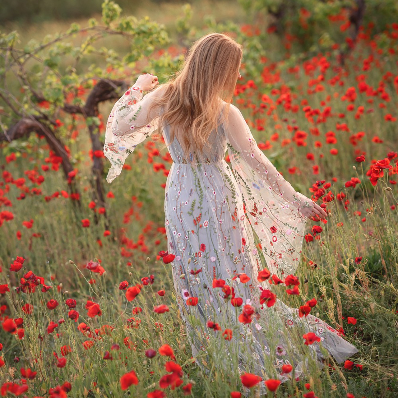 Маковое поле