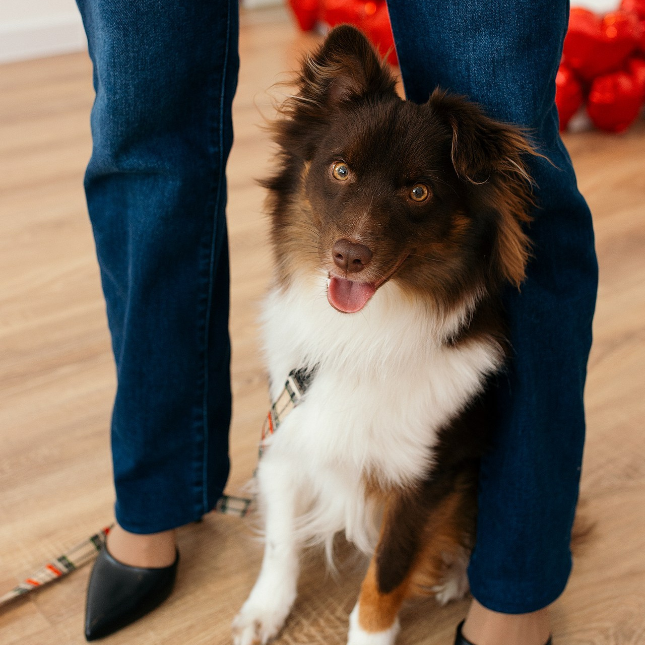 Отзывы. Профессиональный фотограф в Перми. Новогодняя фотосессия Пермь