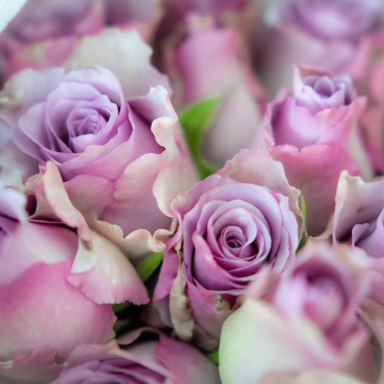 Отзывы. Фотограф Домодедово Москва Женские мужские портреты, репортажи