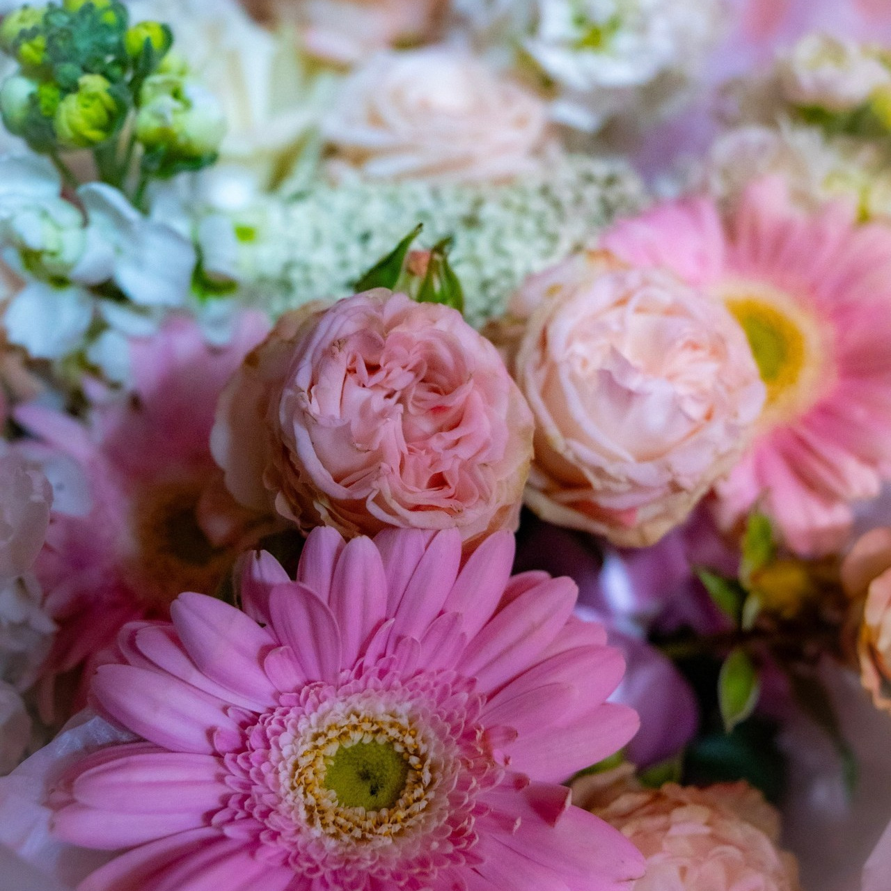 Отзывы. Фотограф Домодедово Москва Женские мужские портреты, репортажи