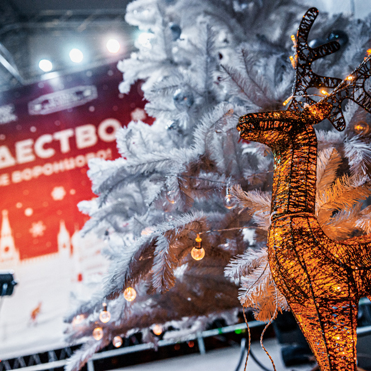 Парковые городские мероприятия. Коваленко Светлана, фотограф в Москве. Концерты, события и люди