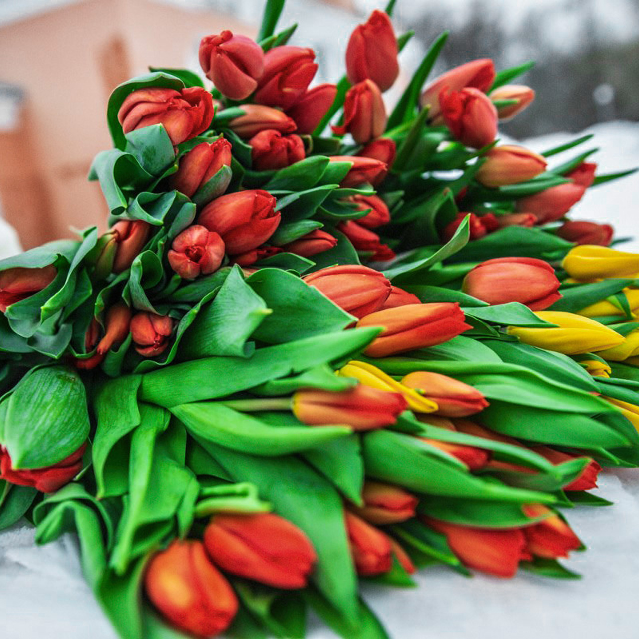 Парковые городские мероприятия. Коваленко Светлана, фотограф в Москве. Концерты, события и люди