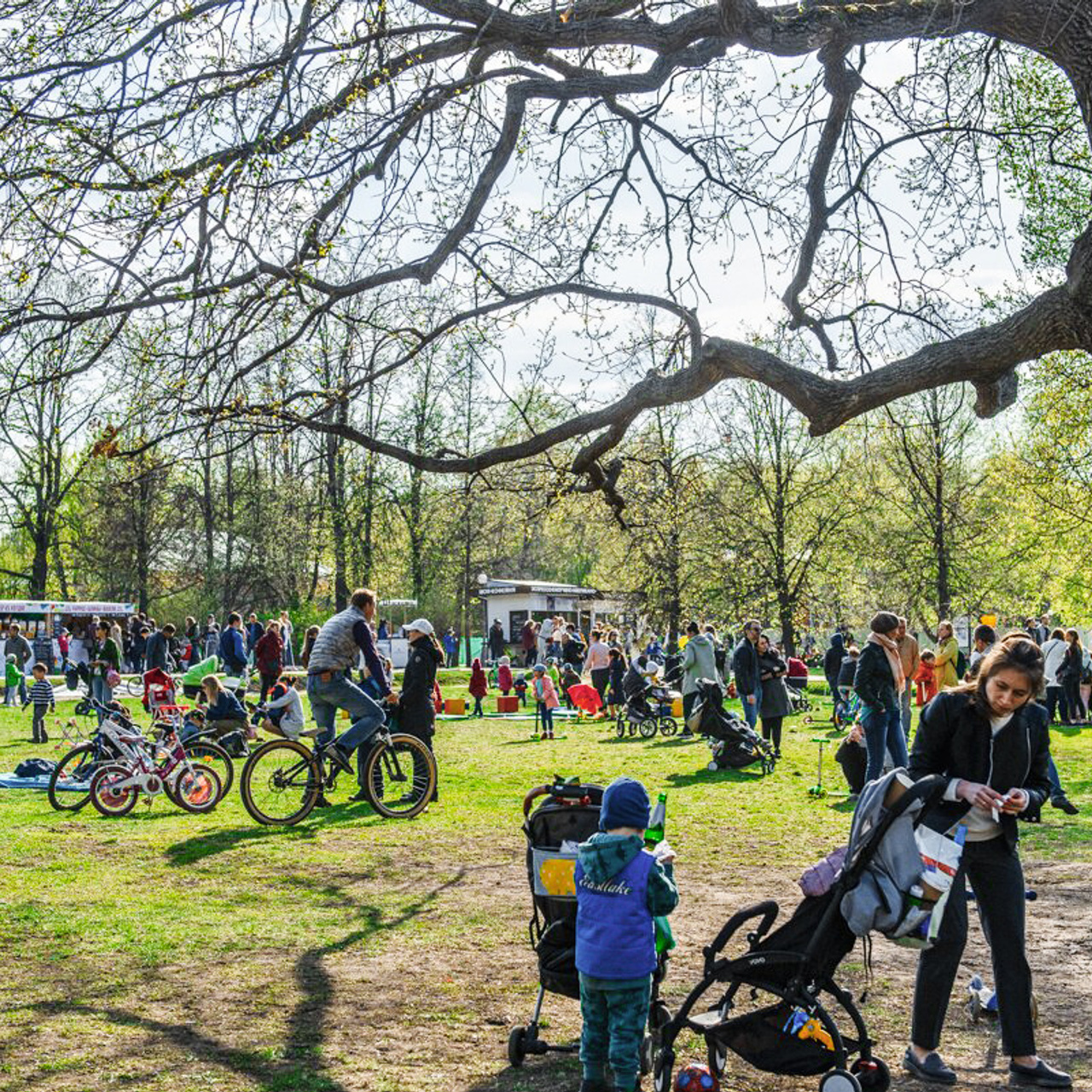 Парковые городские мероприятия. Коваленко Светлана, фотограф в Москве. Концерты, события и люди