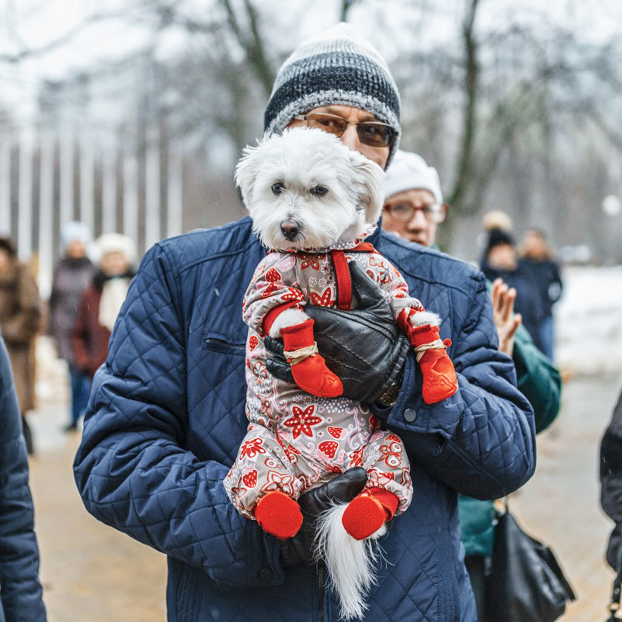 Парковые городские мероприятия. Коваленко Светлана, фотограф в Москве. Концерты, события и люди