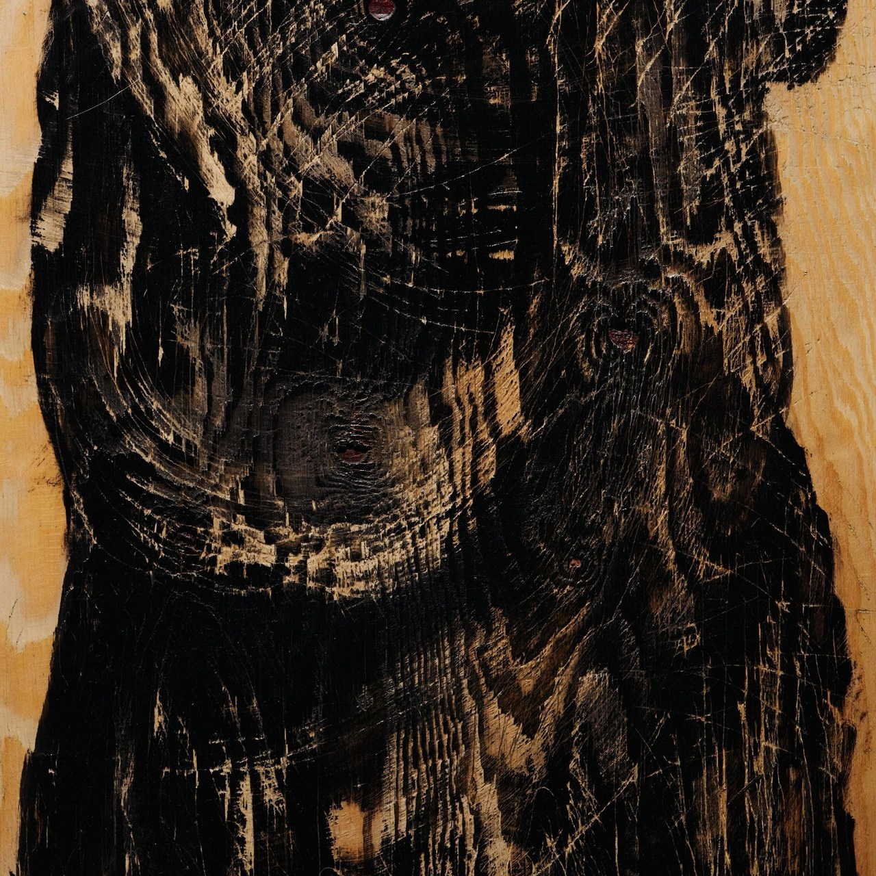 Отзывы. Фотограф Москва Даниил Прудников