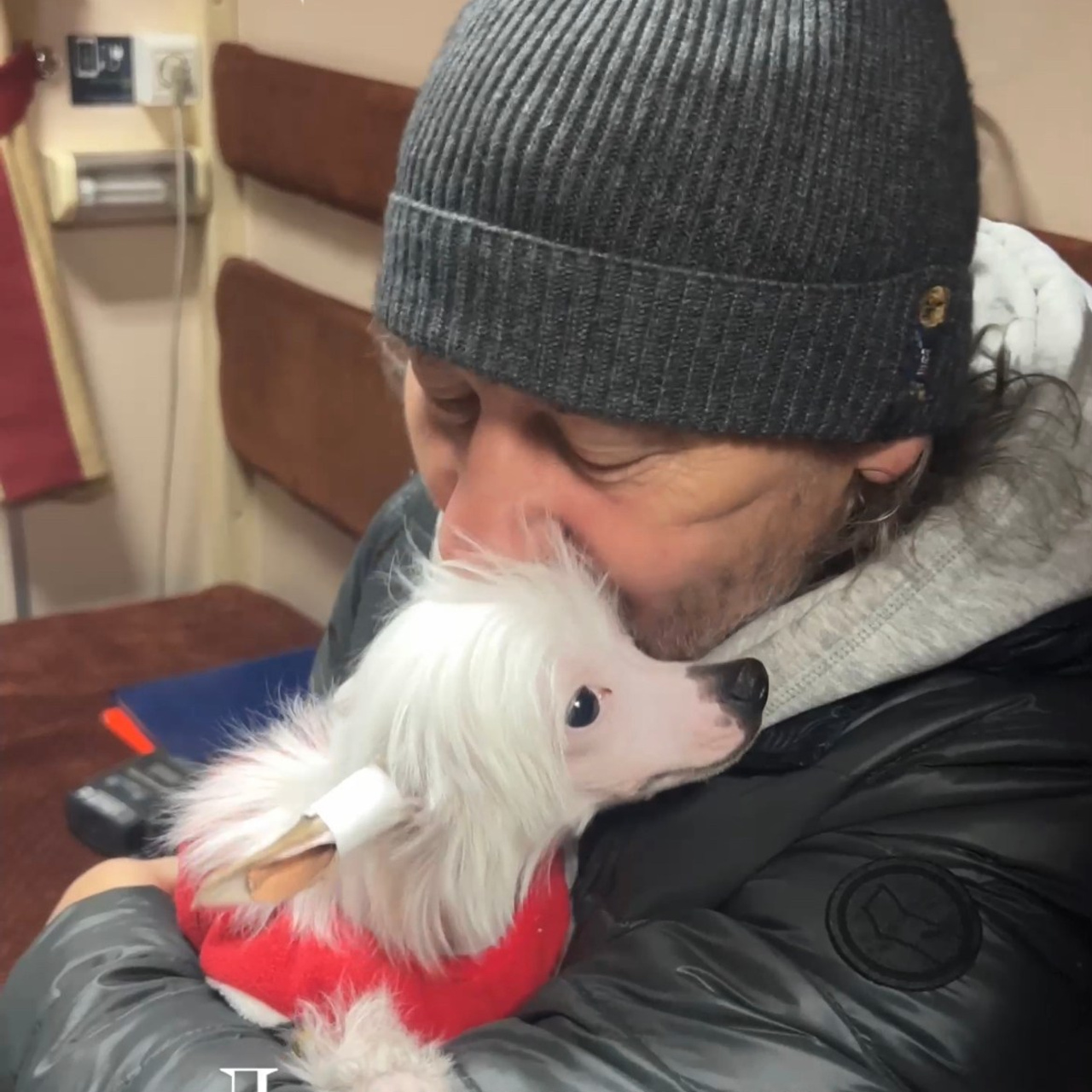 Reviews of Poale Ell Nursery. Chinese Crested Dog Kennel Poale Ell