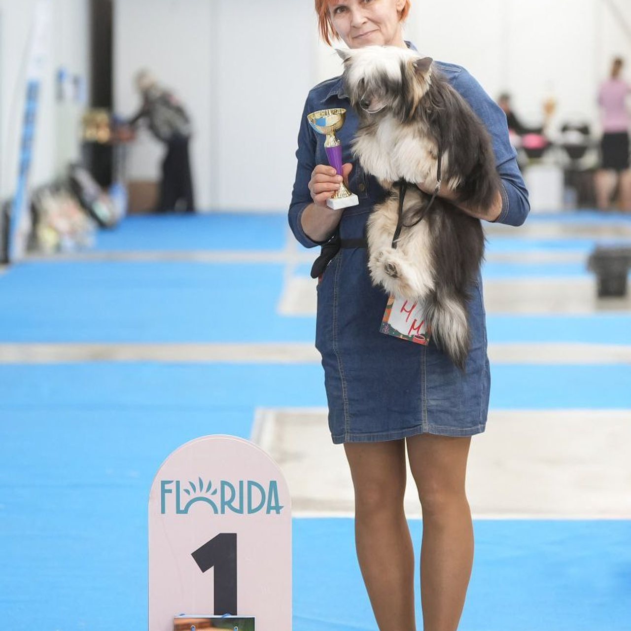 Феликс — лучший щенок выставки! Наши поздравления. Питомник китайских хохлатых собак Poale Ell: купить щенка