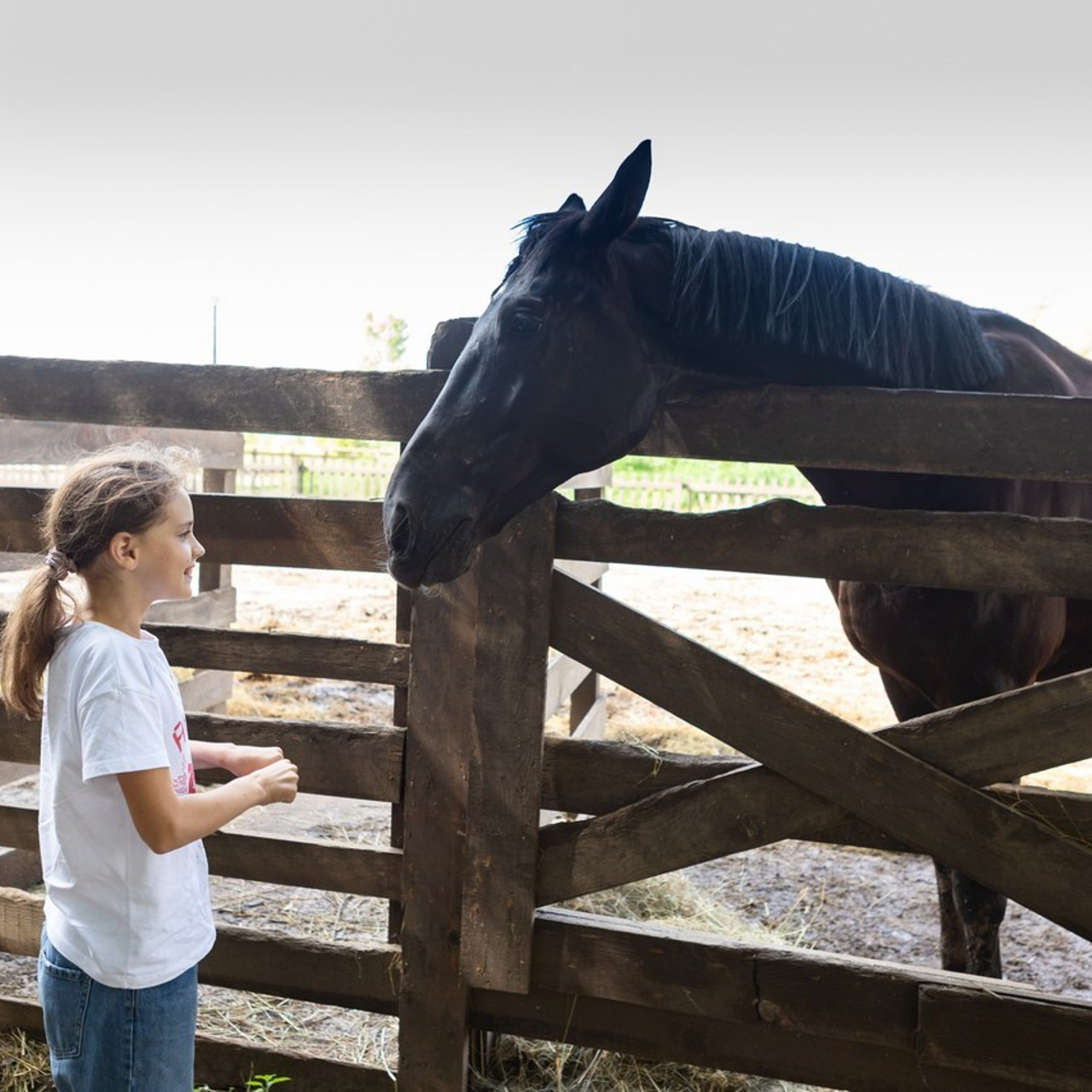 Отзывы. Фотограф в Оренбурге. Профессиональный фотограф