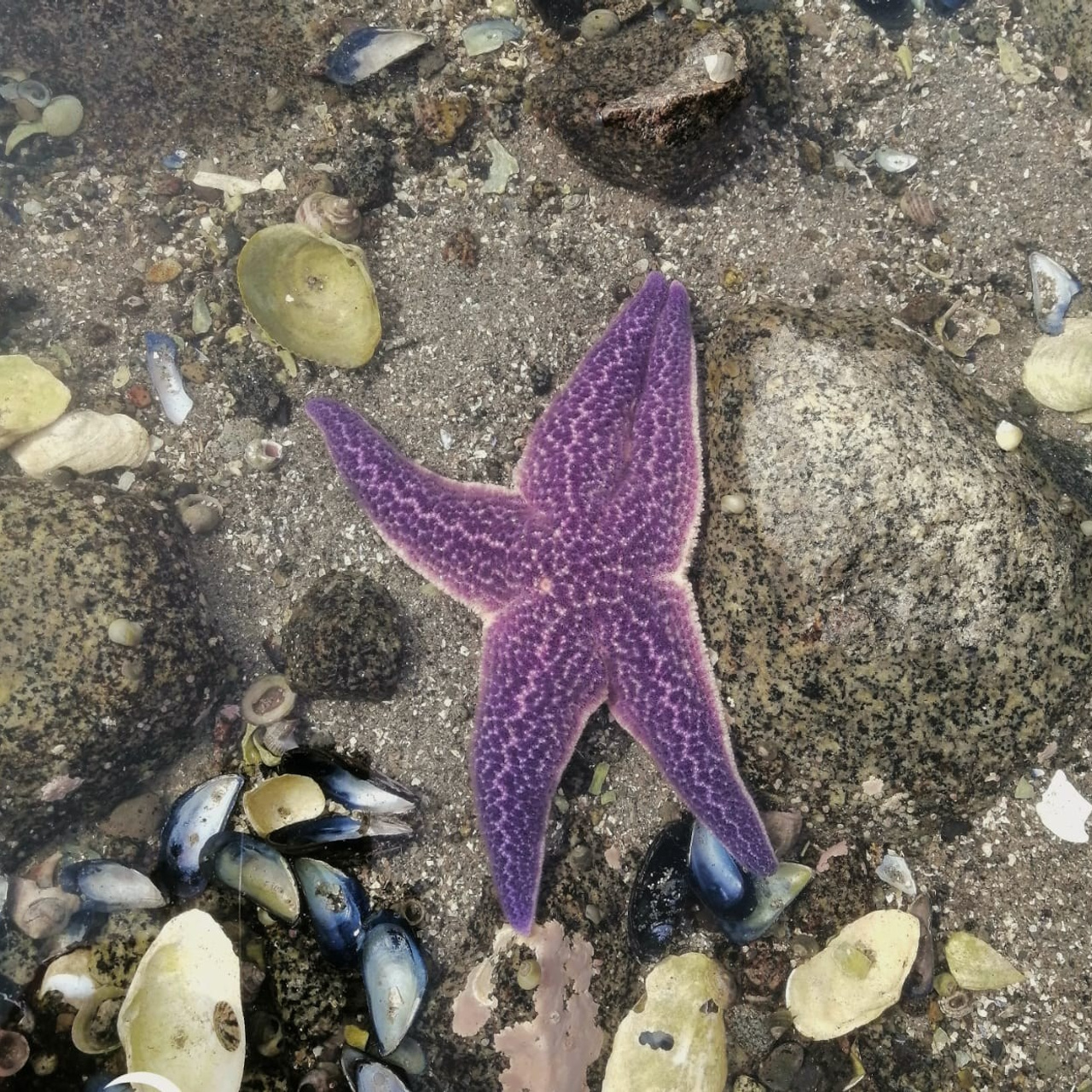 Отзывы. База на острове. Туристическая база отдыха «Островная» о Недоразумения