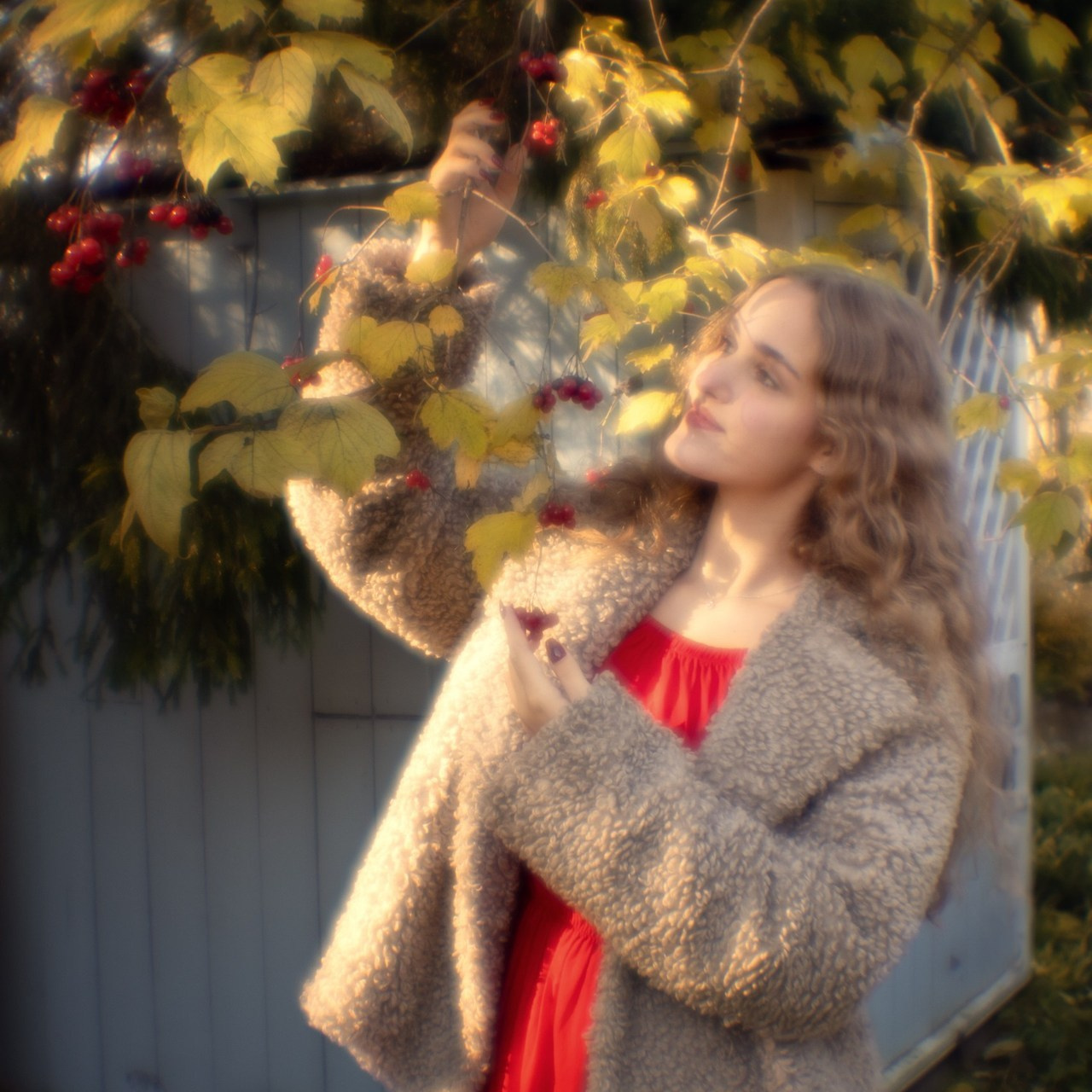 Отзывы. Семейный фотограф Новая Рига (Звенигород, Истра) Евгения Литовченко