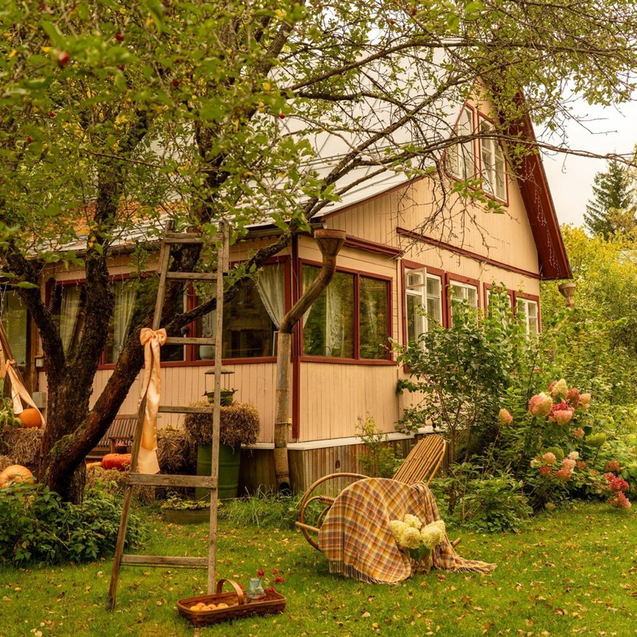 Отзывы. Семейный фотограф Новая Рига (Звенигород, Истра) Евгения Литовченко